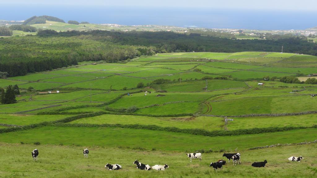 Quinta Do Chico Feijao Villa Lajes Oda fotoğraf
